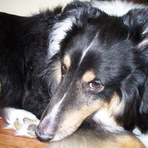 Meet your Posher, Donnis carol